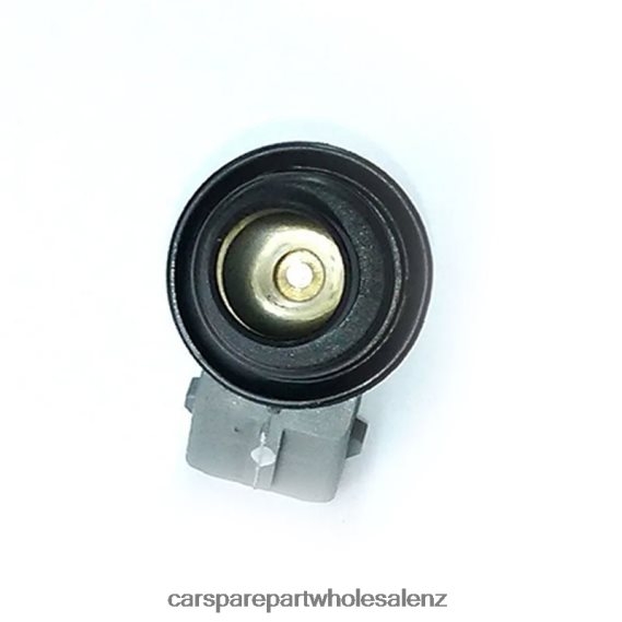 WP176 Fuel Injecto PHF64R385 auto parts suppliers VW SKODA